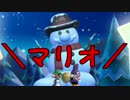 【ルイージU】基本無敵な相棒と100秒旅【part5】