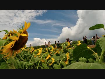 【2014】ツーリング写真集