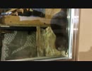trim.86F105C7-D232-4F12-8B78-C89AFAEA610A.MOV
