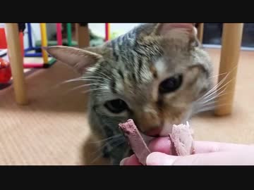 目の前でおやつタイム