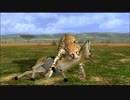 【AFRIKA：実況有】写真センスの無い俺がアフリカで動物を撮影　６枚目