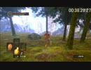 【解説ｱﾘ】ダークソウルRTA~10種武器60分切~part4【巨人木槌】