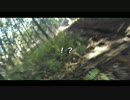 仲間と林道ツーリング4　前編