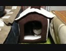 うちの猫の寝姿を撮影してみた（１２月６日）