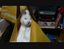 【生後231日】きょうの仔猫【蒼民家の猫々】
