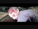 【実況】俺の精神がブレイクしそう！Part.3【The Evil Within】