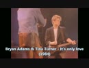 Bryan Adams & Tina Turner - It's only love [歌詞.和訳.解説]