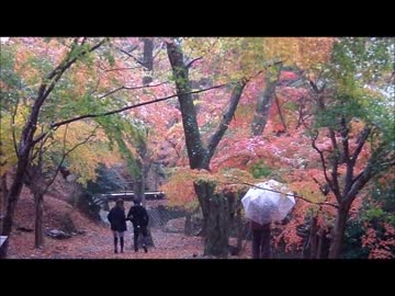 もみじ谷