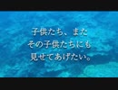 サンゴ／次世代の党