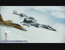 ACE COMBAT INFINITY オンライン共闘戦役 Area B7R Dogfight Battle 英語音声
