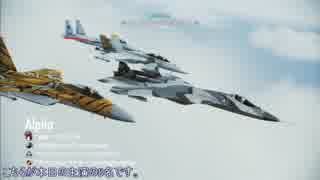 ACE COMBAT INFINITY オンライン共闘戦役 Area B7R Dogfight Battle 英語音声