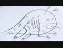 【まぁむ】愛の詩を踊ってみたよ【誕生日だよ】