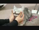 どらちゃんのふぐふぐマッサージ♪