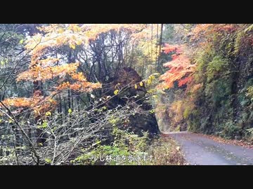 【すべて担いで】ソロキャンプ【痕跡を残さない】