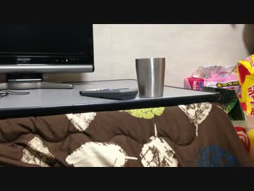 冬 シバイヌ コタツにて