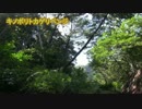 【ミッション】二泊三日ヤンバルの旅【大連続討伐】