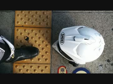 【黒鹿と林道】今年、下半期のフルバンク