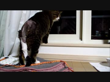 退院＆尿道カテーテル