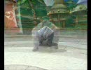 ポケモンバトレボ　フレンド・シングル　Ⅳ　ルンパッパ暴走