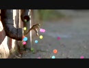 SONY BRAVIA -Bouncy Balls-