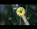 愛のかけら☆恋のかけら