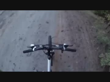 熊から自転車で全力で逃げてみた結果ｗｗｗｗｗｗｗｗ