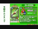 コクワガタ達と共にグレイテストチャンピオンをまた目指す！part12