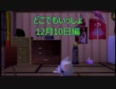 【実況】うるさい女が猫に言葉を教える【どこでもいっしょ12月10日編】