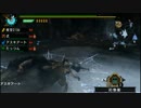 ≪MHP3rd≫ 裸族が行くモンハン日記 ≪拾肆≫