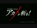 【MAD】get the regret over【アカメが斬る！】
