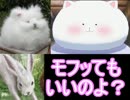 【元素世界】元素を振り分け戦い抜け！　十戦目【実況】