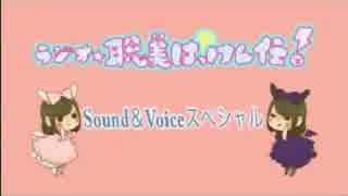 はっけん伝　Sound&Voiceスペシャル（2014.12.12）