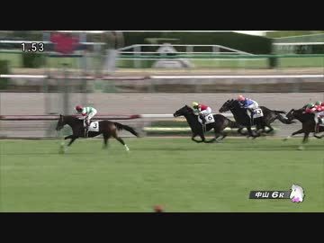2014年12月07日 中山6R 2歳新馬 マイネルサージュ（ピンクブーケ 1着入線）