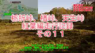 栃折峠、楢峠、天生峠紅葉編走行記録　その１１