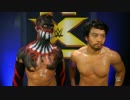 【WWE】 フィン・バロールとヒデオ・イタミのインタビュー