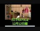 【実況】うるさい女が猫に言葉を教える【どこでもいっしょ12月12日編】