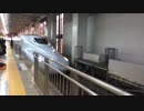九州新幹線 さくら559　博多→鹿児島中央 緑