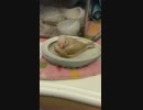 ちゃぷちゃぷ文鳥