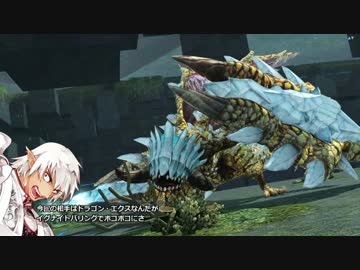 【PSO2】ソードvsドラゴン・エクス【ブロントさん×東方project】