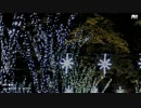 【ニコカラ】雪の髪飾り(OffVocal+OnChorus)
