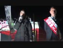 【2013/12/13】次世代の党　田母神俊雄候補　十条商店街練り歩き　２