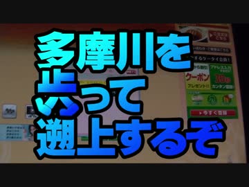 【ゆっくり旅行】多摩川を歩って遡上するぞ１４【不死鳥の如く編】