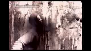 【２人実況】Red Seeds Profile～レッドシーズプロファイル～【Part.12】