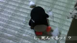 【生後239日】きょうの仔猫【蒼民家の猫々】