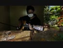 【RPG】オスが実況するドラゴンエイジ：インクイジション【PS4】#8