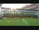 香港カップ(G1)　デザインズオンローム　【2014】