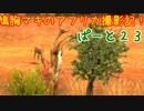 【AFRIKA】鳩胸マキのアフリカ撮影記！ぱーと㉓骨を拾うのは誰だ