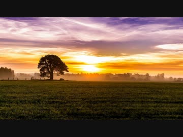【オリジナル・NNI】草原を駆ける【BGM】