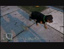 【GTA5】一人称視点でプレイPart.6