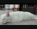 油冷に魅了された男の中の漢たち　第弐話